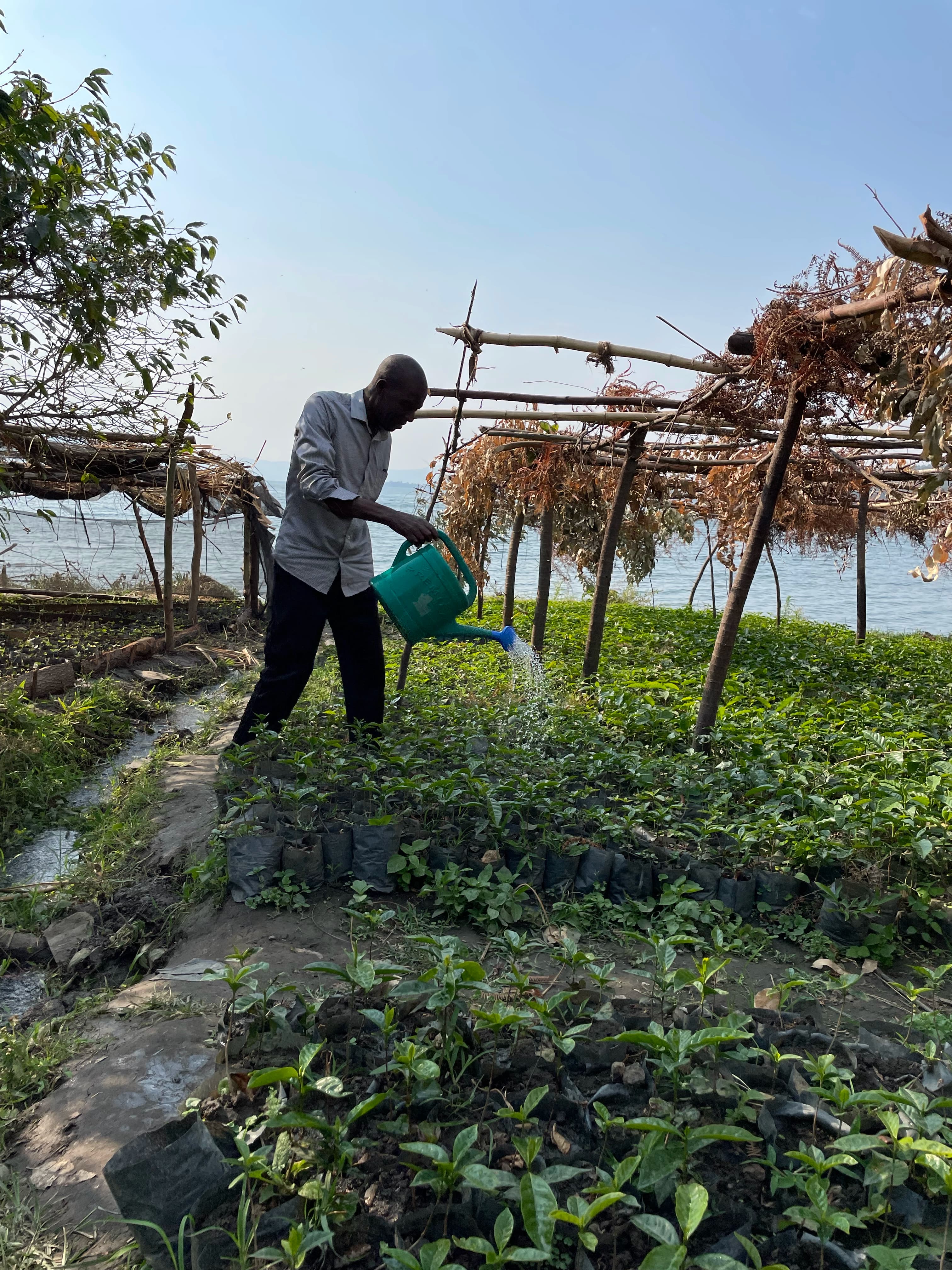 Velvet Isle - Rwandan Bikunda Island thumbnail 2