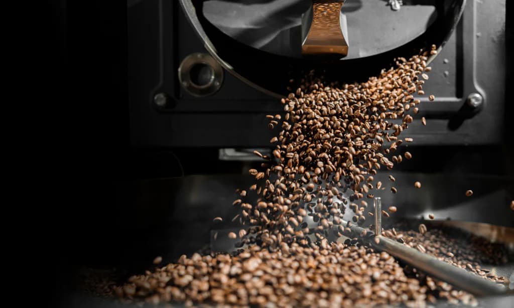 Freshly roasted RoastAroma coffee